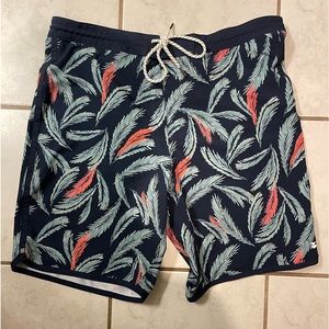 Jetty Session 7 inch short 36